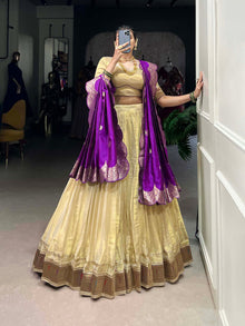 Amazing Lehenga Choli With Paithani Lace Border
