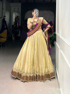 Amazing Lehenga Choli With Paithani Lace Border