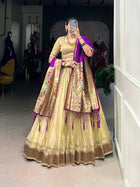Amazing Lehenga Choli With Paithani Lace Border