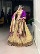 Amazing Lehenga Choli With Paithani Lace Border
