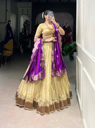 Amazing Lehenga Choli With Paithani Lace Border